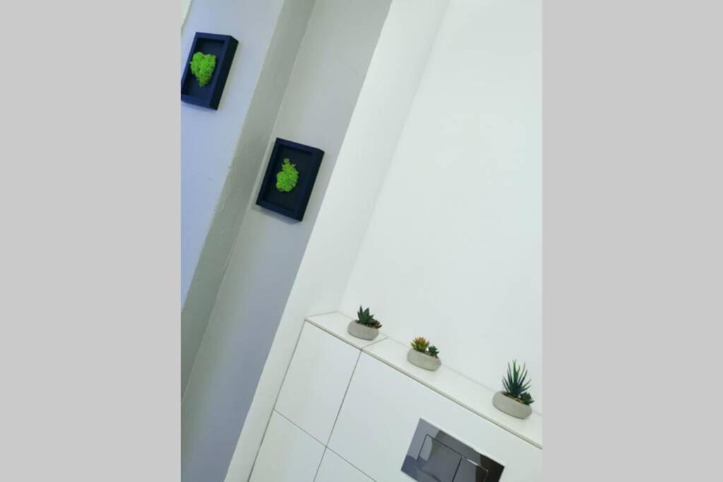 Green Apartment Promenada Gwiazd- Widok Na Morze. 미엥지즈드로예 외부 사진
